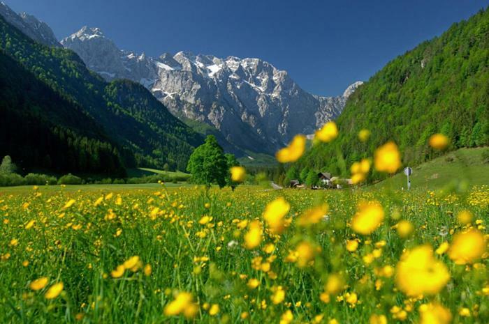 Entire Loft Close To Beautiful Logar Valley Recica ob Savinji Bagian luar foto